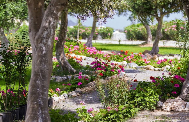 Fata Morgana Studios & Apartments - Foto 55