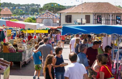 Au calme, entre lac et océan - Foto 20