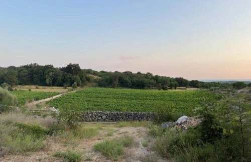 Apartment Vidoni - Photo 44