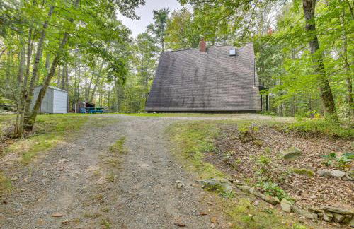 Pet-Friendly Belfast Retreat - 2 Mi to Downtown! - Foto 30