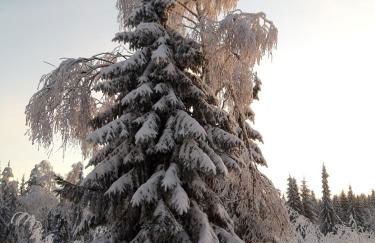 Villa Sonja - Foto 43