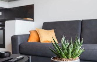 TY FOUR - Bel appartement T2 de standing vue mer - Foto 22