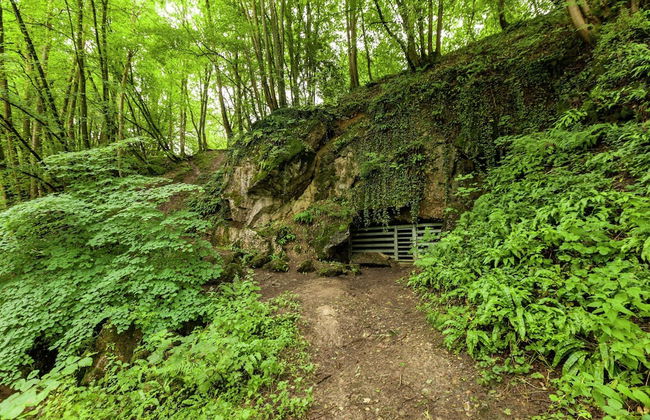 Cottage Near Durbuy Forest - Foto 35