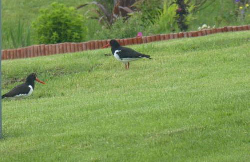 The Causeway - Foto 31