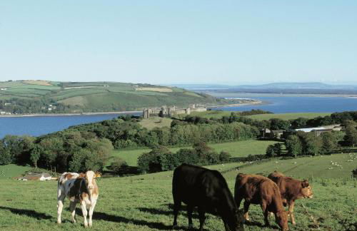 Creigiau Cottage Llansteffan - Photo 18