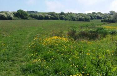Fossil Cottage (Berryl Farm Cottages) - Foto 20