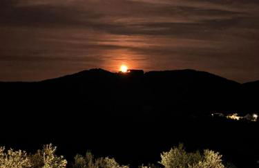 Quinta de Toubres - Foto 54