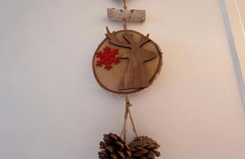 Christiana studios en hyper centre de Valberg aux pieds des pistes - Foto 17