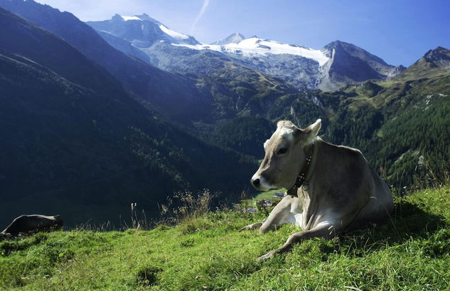 Vintage Apartment in Fugen Near Ski Area - Foto 68