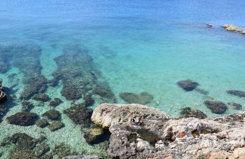 Apartment Ivy - Foto 25