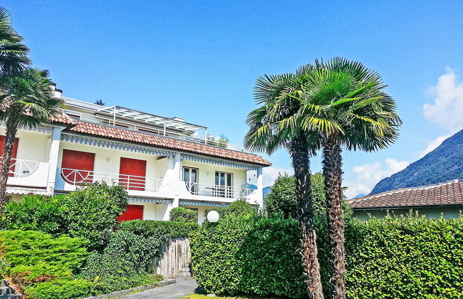 Collina Verde B - Foto 2