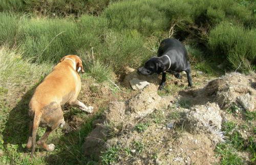 Appartement les rives de l’Ariège - Foto 62