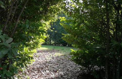 Casa da Costeira - Foto 49