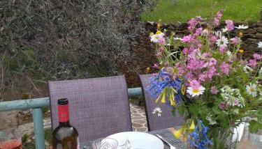 Andros Trecking Paradise Holiday Cottage by "elite" - Foto 5, Garden view