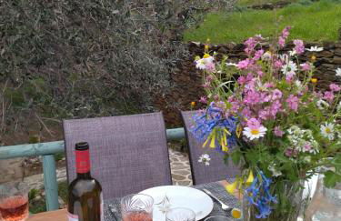 Andros Trecking Paradise Holiday Cottage by "elite" - Foto 5