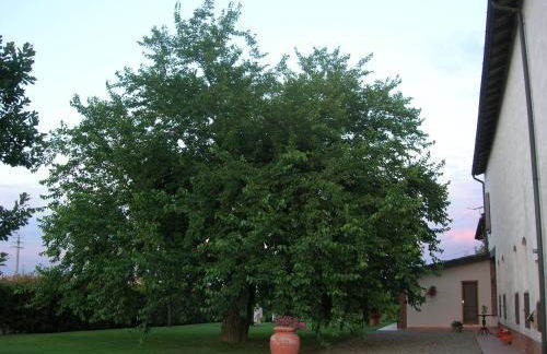 Agriturismo Campass - Foto 15