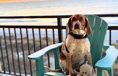 Oceanfront 3br/2ba Dog Friendly - Foto 7