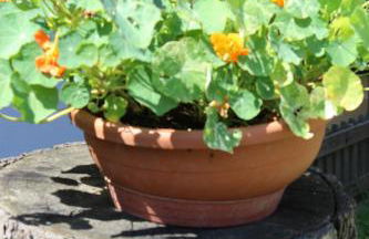 Vitroler Hof - Photo 17