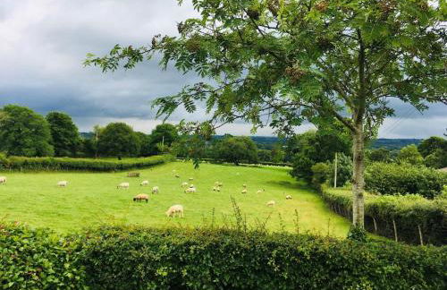 1 Bed in Hatherleigh 78087 - Foto 12