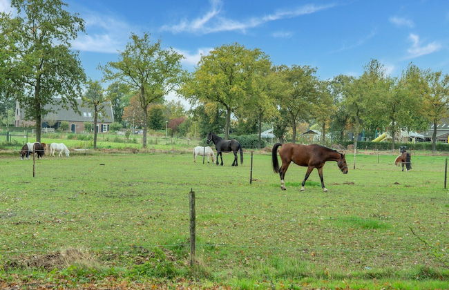 Holiday Home in Goirle With Sauna - Photo 31