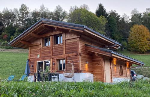 Les Ours de Combloux - Photo 9