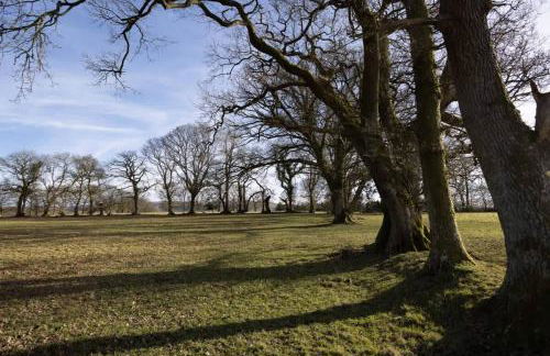 Brecon Beacons Cottage with Stunning Country Views - Foto 29