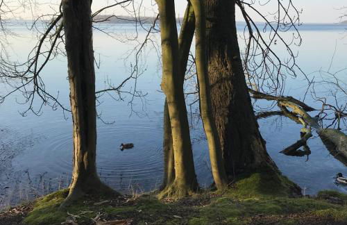 Raben Steinfeld Forststrasse Am Residence-Park - Foto 30