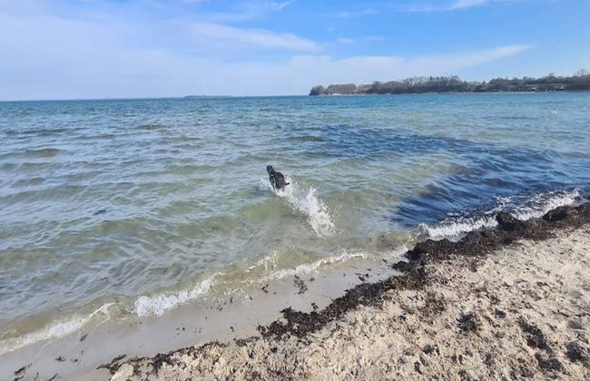 6 Person Holiday Home on a Holiday Park in Hejls - Foto 45