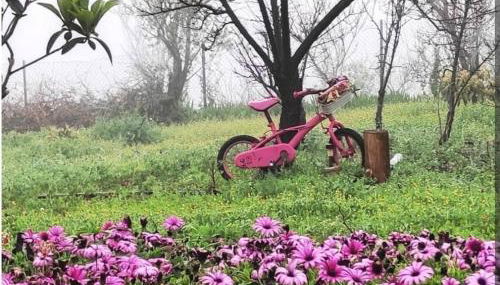 Casa El Sitio - Foto 5, Garden