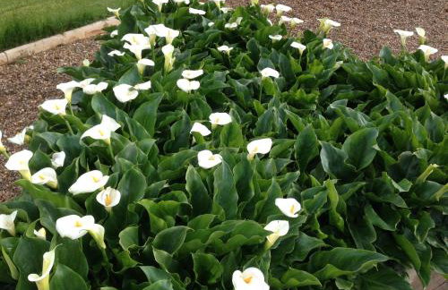 Apartamento Turístico Cigüeña de Alfaro - Foto 40