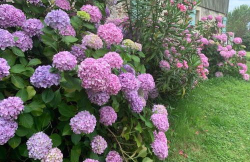 Majellon Grand Appartement - Photo 13