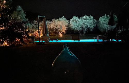 Uliveto Benedetti - Foto 11