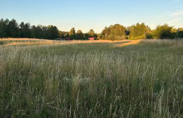 Nad Isągiem - Photo 22