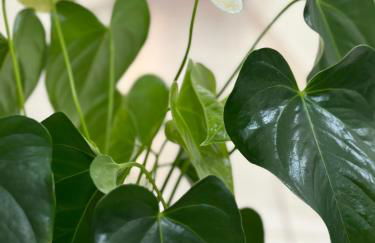 Vivienda Vacacional VillaVerde - Foto 12