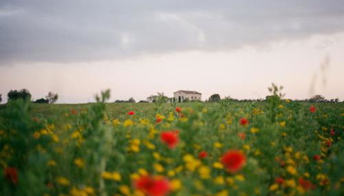 Agriturismo Tenuta La Castelluzza - Foto 4, Garden