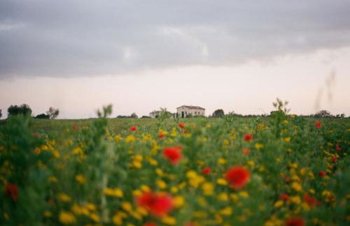 Agriturismo Tenuta La Castelluzza - Foto 4
