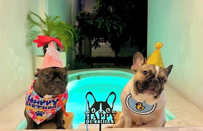 Floraison Living Villa - Foto 14