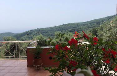 Spyridonou House - Foto 66