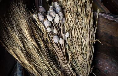 Agriturismo La Costa - Casa Vacanze - Foto 23