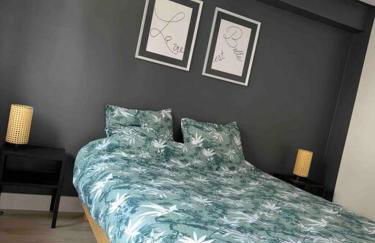 Appart centre ville - Foto 2