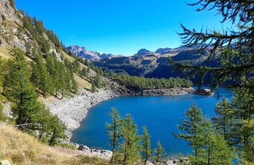 Verde Bosco - Photo 28