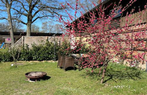 Heidezeit 5 - Foto 10