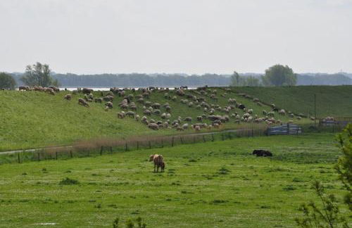 Ferienwohnungen Krautsand - Foto 24