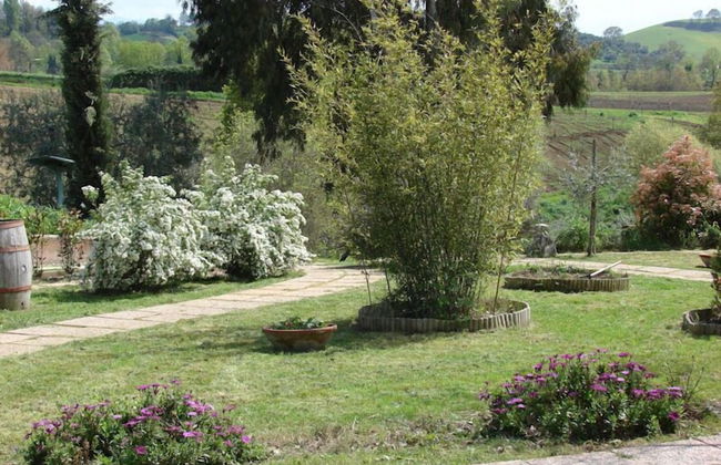 Agriturismo Terrasabina - Foto 56