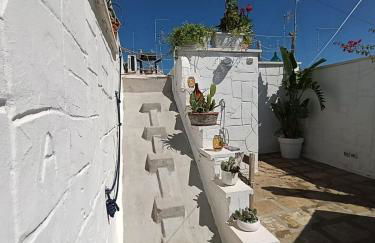 Antico Gelso - Foto 33