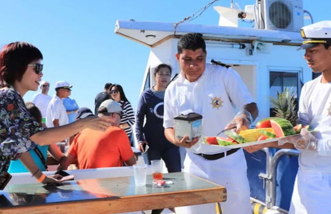 Excursão à Isla Tortuga - Foto 7