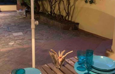 Cala Liberotto-Raffinata taverna con camino - Foto 14