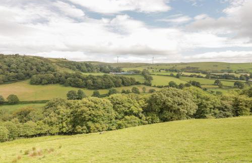 Bryn Mawndy - Foto 30