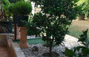 Apartments Vintijan - Foto 76