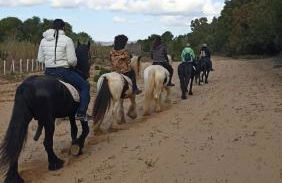 Mary Holiday Home - Foto 20